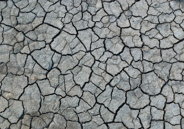 Dry soil — Stock Photo, Image