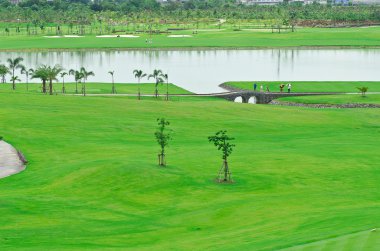 bir golf sahası peyzaj