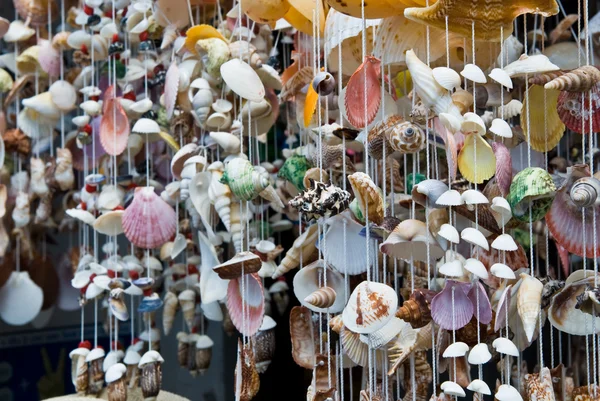 Craft shells hang — Stock Photo, Image
