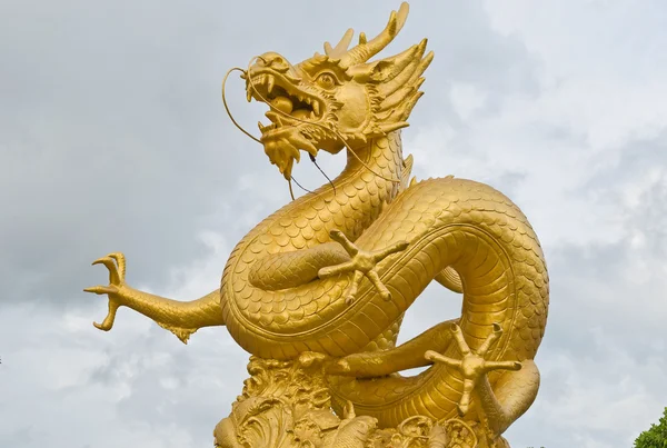 Gold dragon — Stock Photo, Image