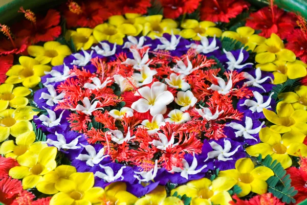 Beautiful flowers in the water — Stock Photo, Image