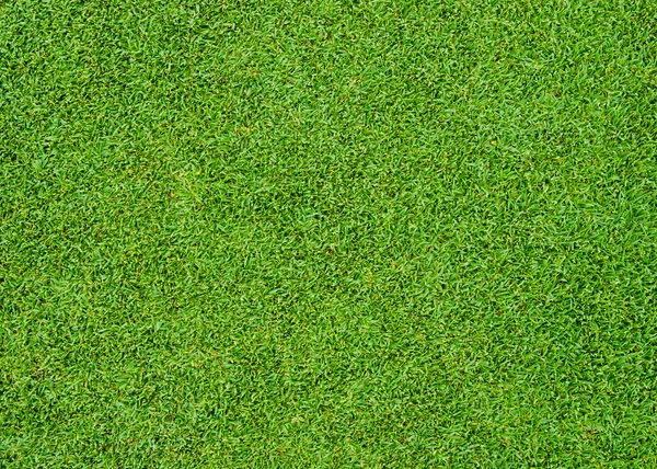 Iarbă verde model — Fotografie, imagine de stoc