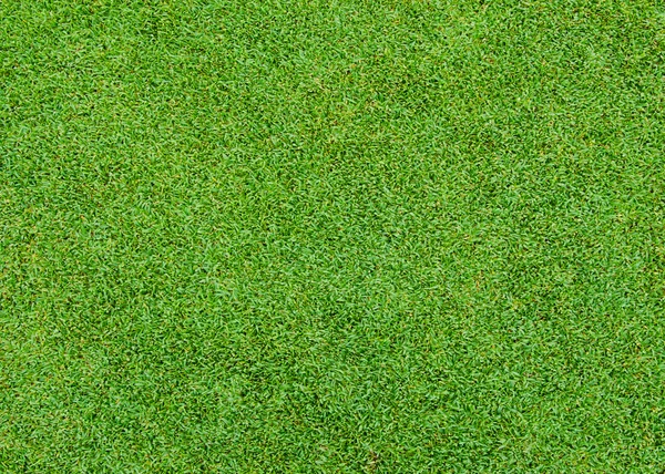 Grönt gräs mönster — Stockfoto