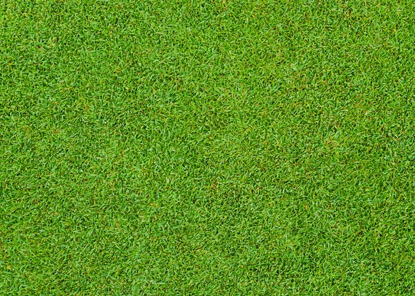 Green grass pattern — Stock Photo, Image