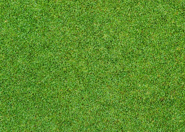 Green grass pattern — Stock Photo, Image