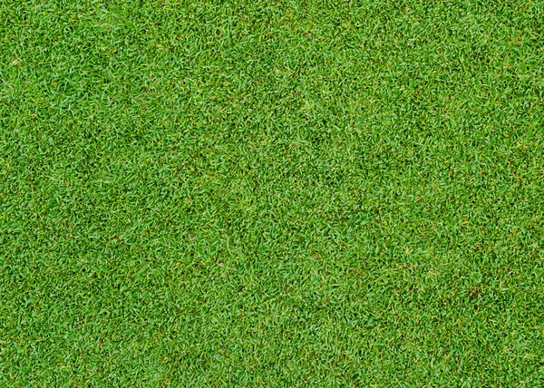 Yeşil çim desen — Stok fotoğraf