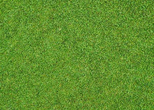 Grönt gräs mönster — Stockfoto