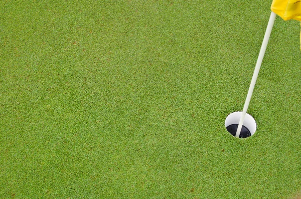 ゴルフ場からの美しい緑の芝生のパターン — ストック写真
