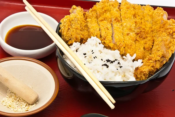 Estilo de comida japonesa — Foto de Stock