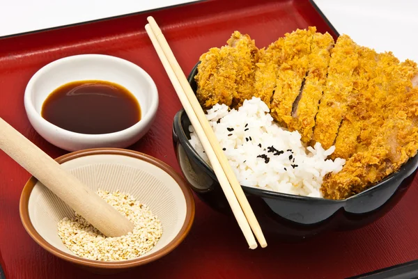 Estilo de comida japonesa — Foto de Stock