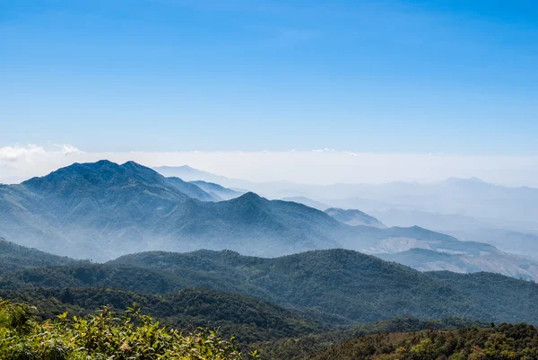 Mist in tropische mountain — Stockfoto