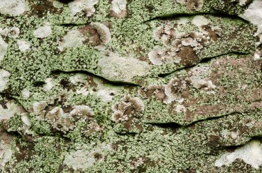 benzersiz eski taş yüzeyi