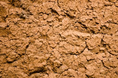 kızıl toprağı kuru ve kırık adam