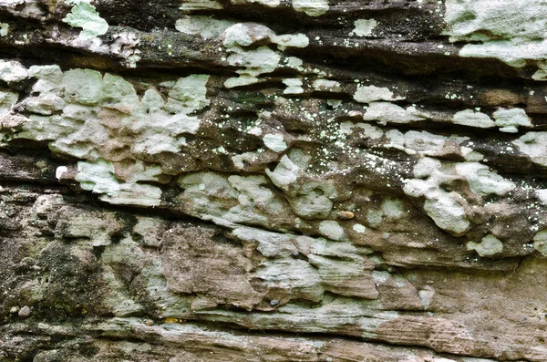 一意の古い石造りの表面 — ストック写真