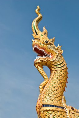 naga mavi gökyüzü ile kralı