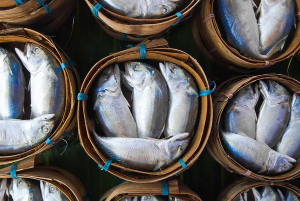 Makrelenfisch — Stockfoto