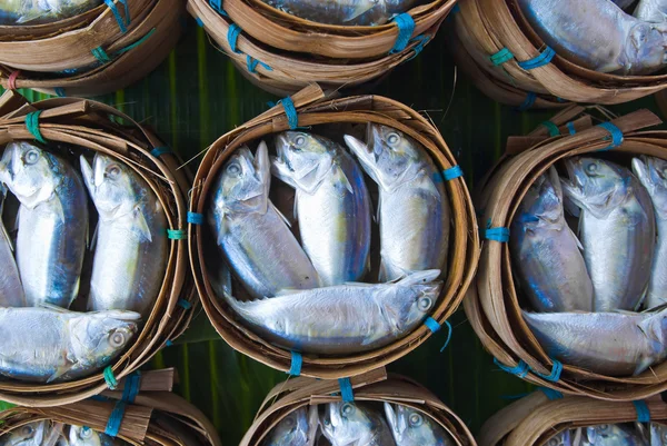 Pescado de caballa — Foto de Stock