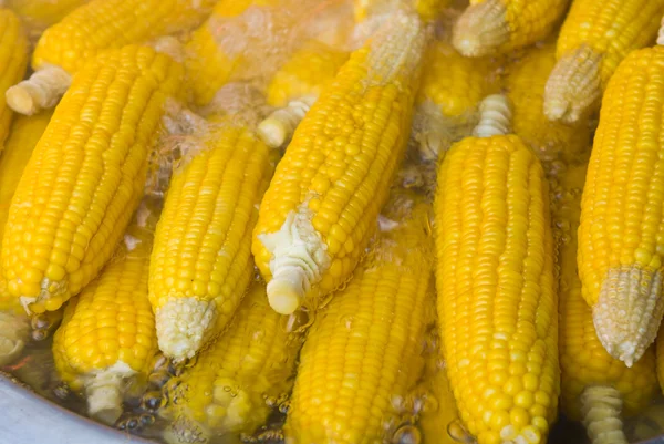 Verse maïs in kokend water — Stockfoto