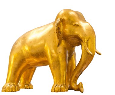 Altın fil