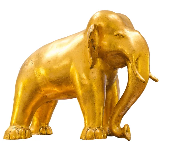 Altın fil — Stok fotoğraf