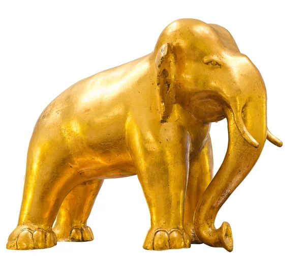 Elefante dourado — Fotografia de Stock