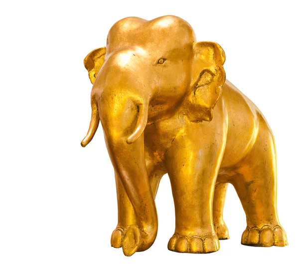 Elefante dourado — Fotografia de Stock