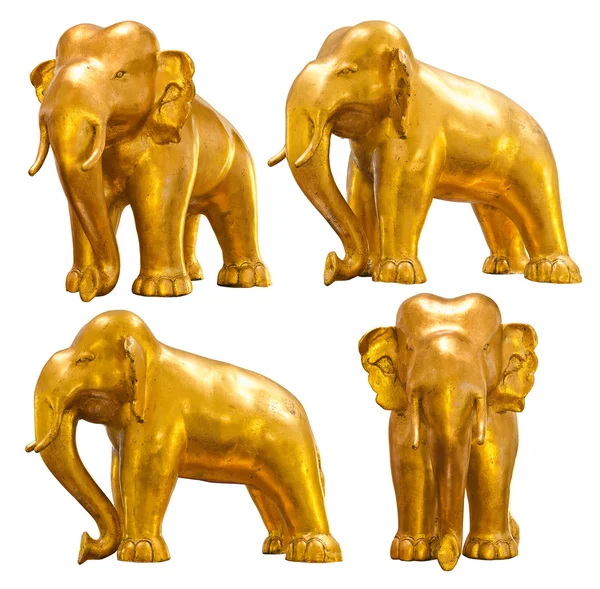 Golden elephant — Stockfoto