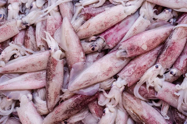 Piyasada taze mürekkep balığı — Stok fotoğraf