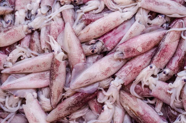 Piyasada taze mürekkep balığı