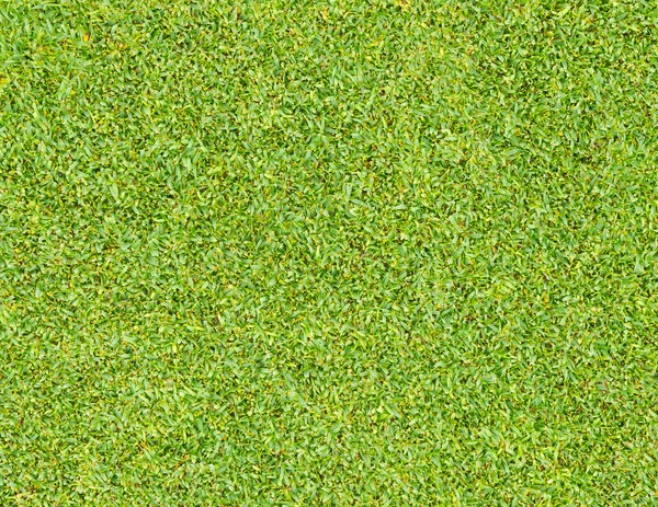 Green grass pattern — Stock Photo, Image