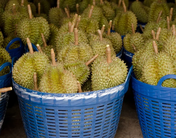 Čerstvý durians na trhu — Stock fotografie