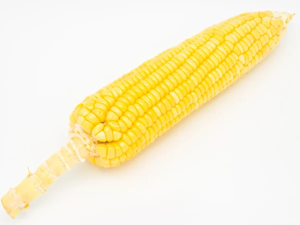 Fresh corn — Stock Photo, Image