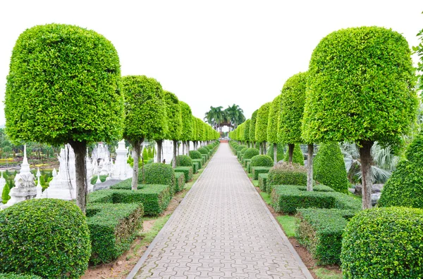 Açık peyzaj Bahçe — Stok fotoğraf