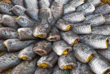 Kuru gurami balığı