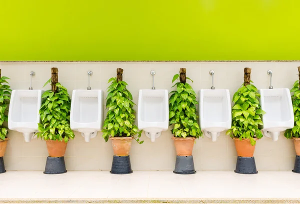 Restroom interior with white urinal row and ornamental plants — Stock Photo, Image