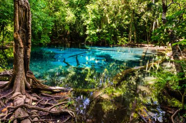 sa nam phut Milli Parkı, Tayland
