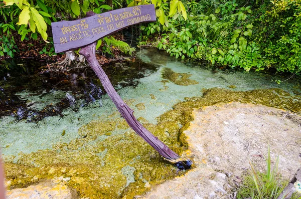 An Ascetic is name of beautiful spring pool — Stock Photo, Image