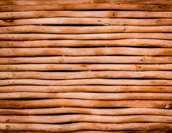 Vertikální pohled dekorativní stříhání eukalyptového dřeva — Stock fotografie
