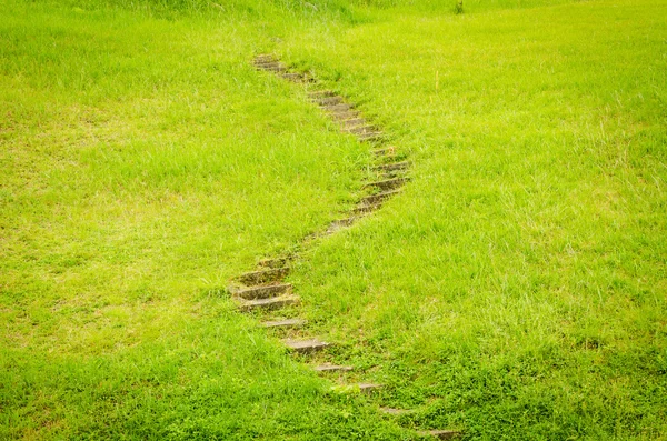 Treppe auf grünem Gras. — Stockfoto