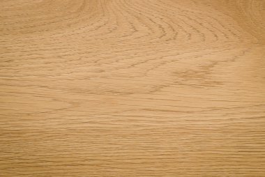 doğa desen detay ash ahşap arka plan