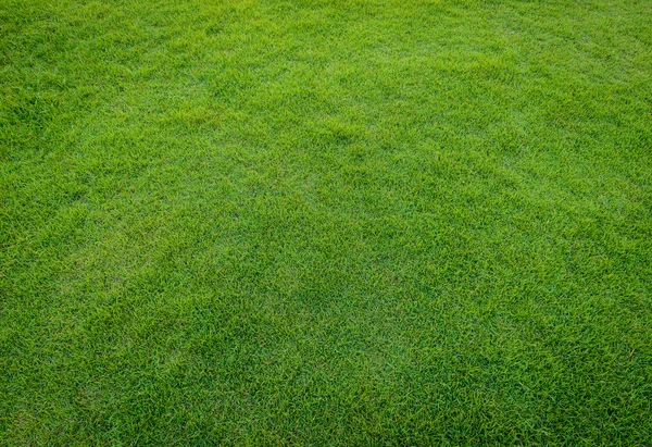 Pola Rumput Hijau Dari Lapangan Golf Di Sunset Tim — Stok Foto