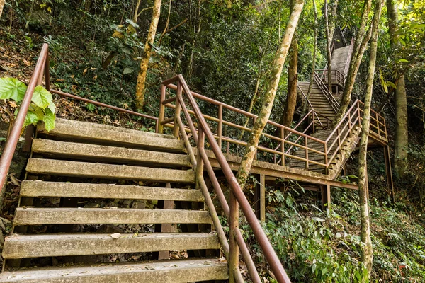 Бетонная лестница в лесу — стоковое фото