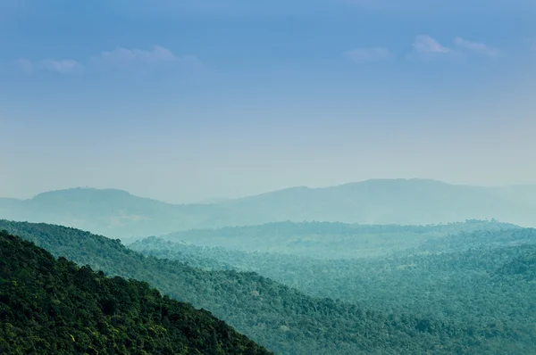 Mattina nebbia a catena montuosa tropicale — Foto Stock