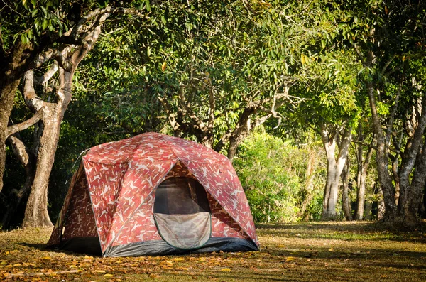 Camping tent — Stock Photo, Image