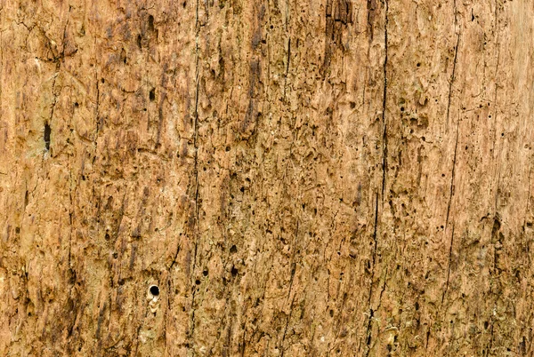 Вид старой текстуры древесины сбоку — стоковое фото