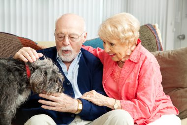 üst düzey çift - köpek aşık