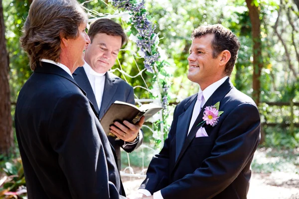 Gay casal chegando casado — Fotografia de Stock