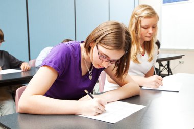 Akademik lise testleri