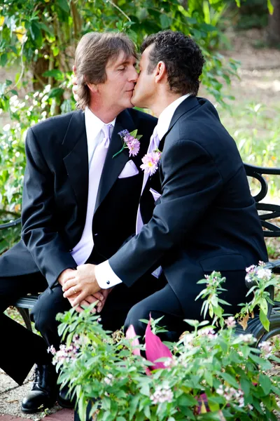 同性恋婚礼夫妇-户外吻 — 图库照片