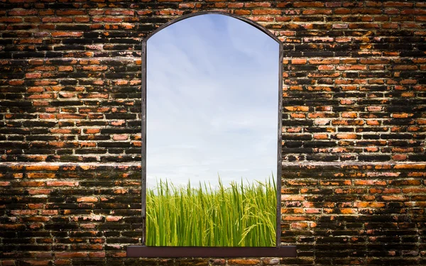 Ziegelsteinmauer — Stockfoto